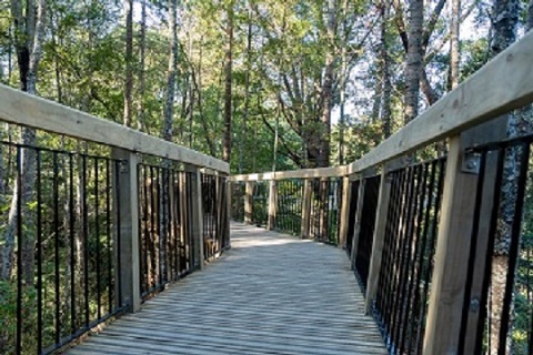 Various colours and patterns are available